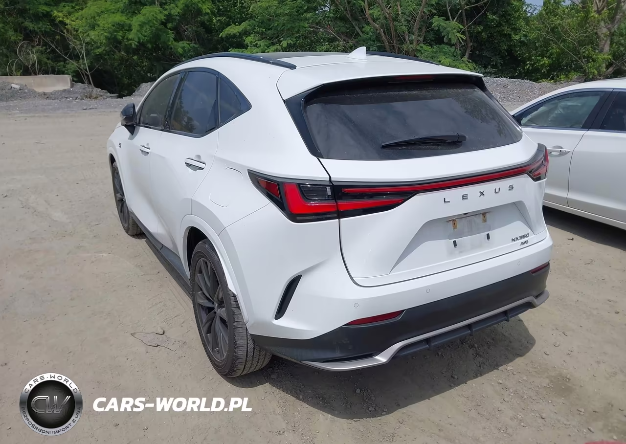 2024 Lexus Nx 350 F Sport Handling VIN:2T2KGCEZ4RC042330 - 3