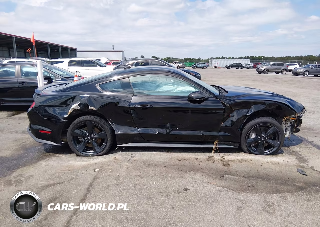 2021 Ford Mustang Gt Premium Fastback VIN:1FA6P8CF4M5118281 - 13