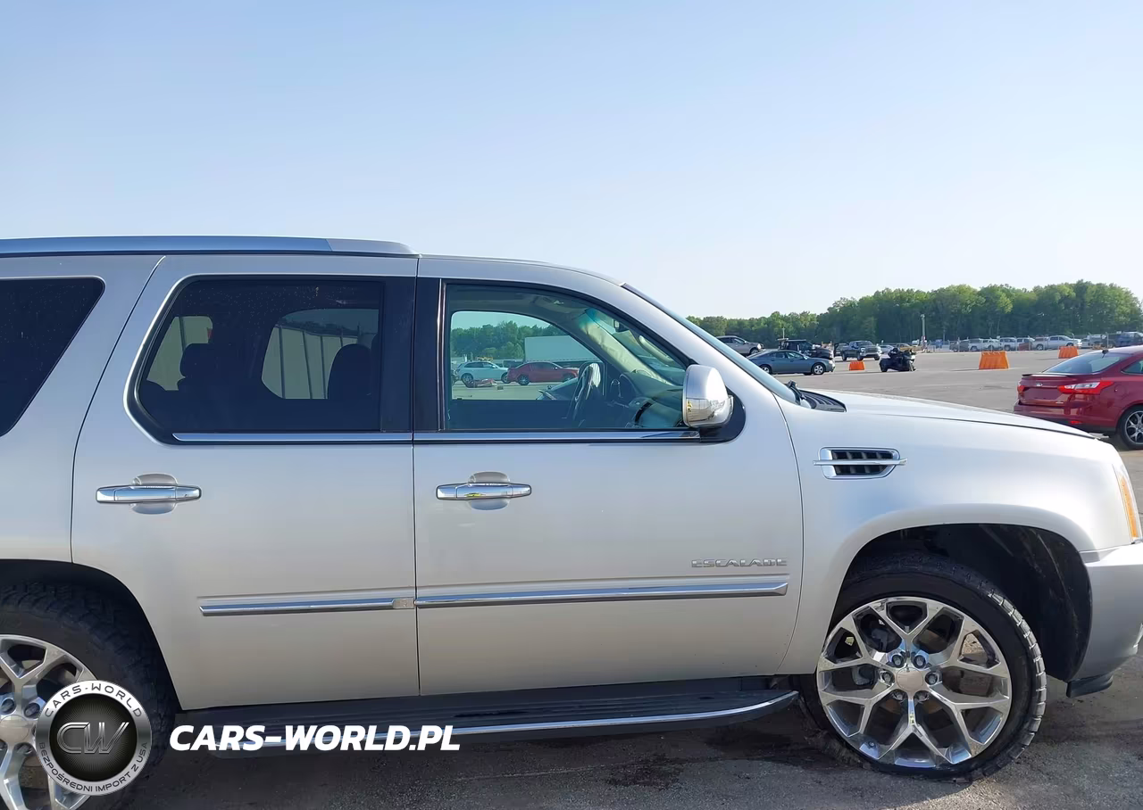 2010 Cadillac Escalade Luxury VIN:1GYUKBEF5AR180751 - 13