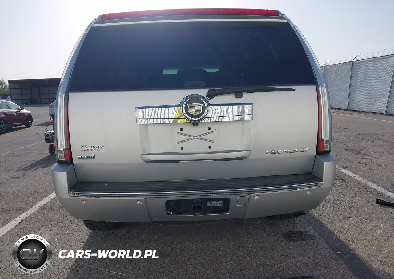 2010 Cadillac Escalade Luxury VIN:1GYUKBEF5AR180751 - 16