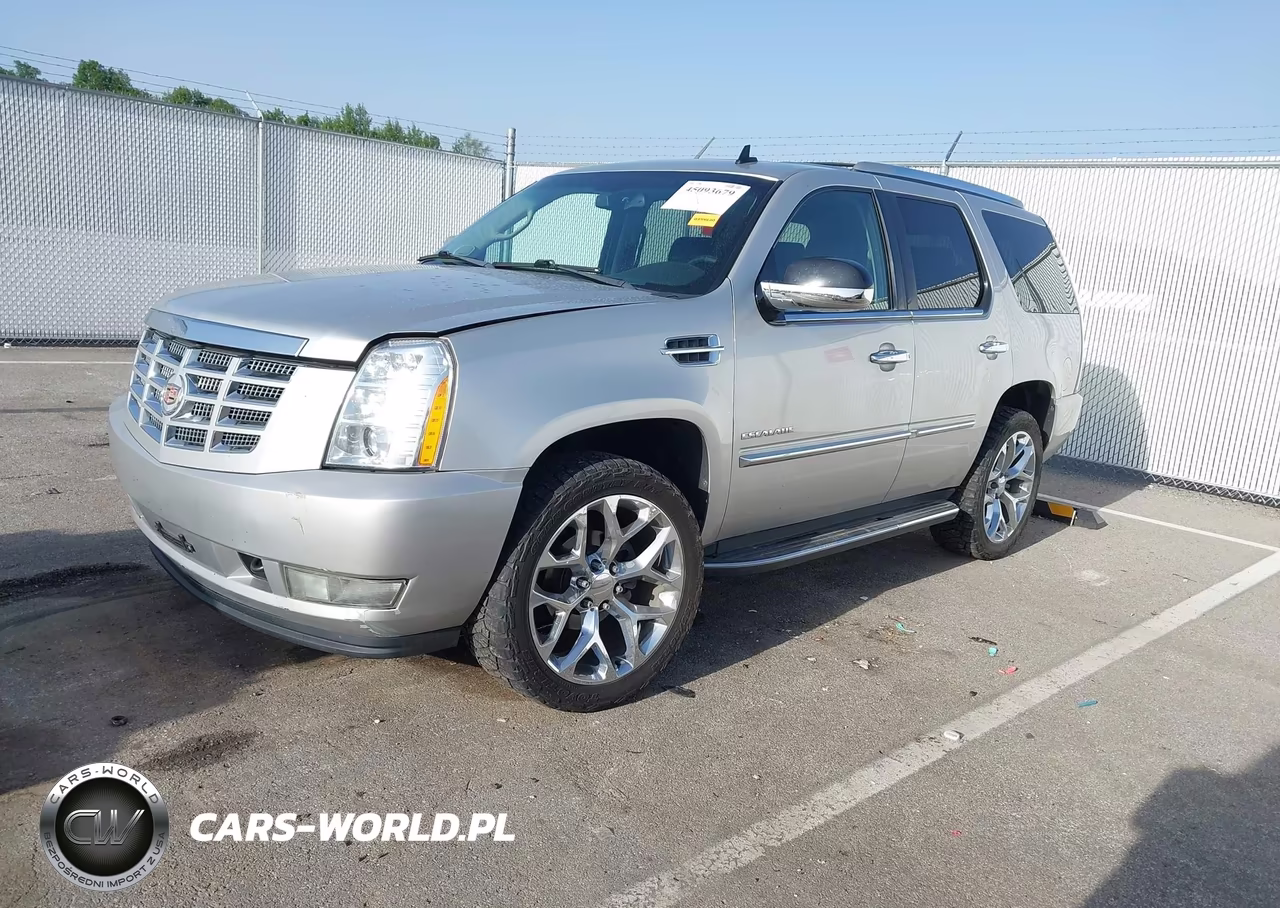 2010 Cadillac Escalade Luxury VIN:1GYUKBEF5AR180751 - 2