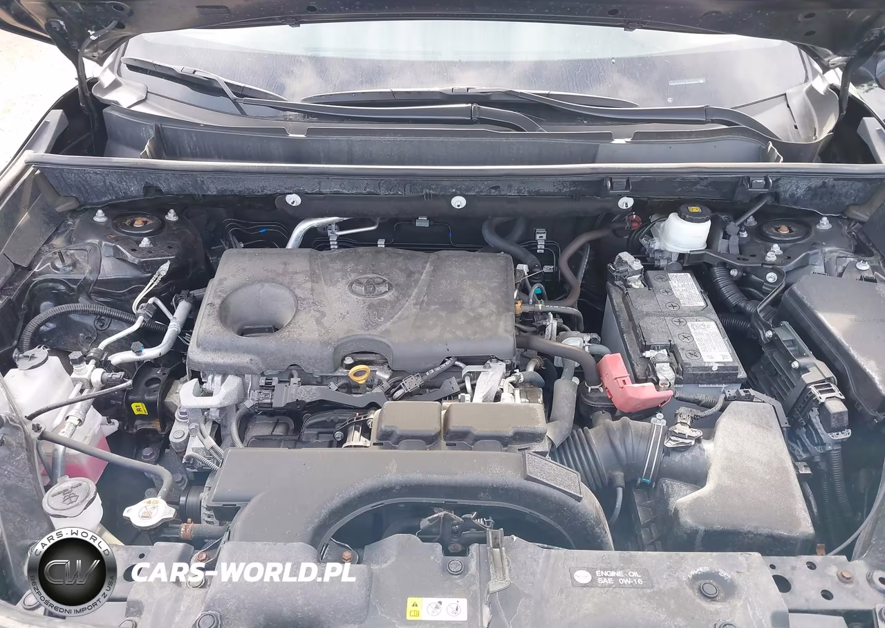 2019 Toyota Rav4 Le VIN:2T3F1RFV7KW080507 - 10