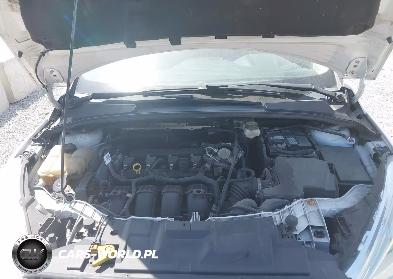 2017 Ford Focus Se VIN:1FADP3F2XHL212928 - 10