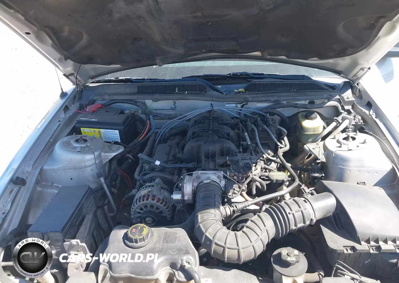 2006 Ford Mustang V6 VIN:1ZVFT80N165110141 - 10