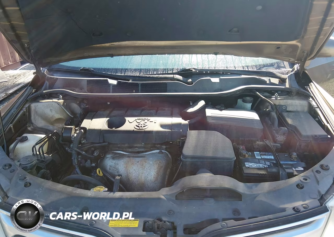 2010 Toyota Venza VIN:4T3ZA3BB0AU027815 - 10