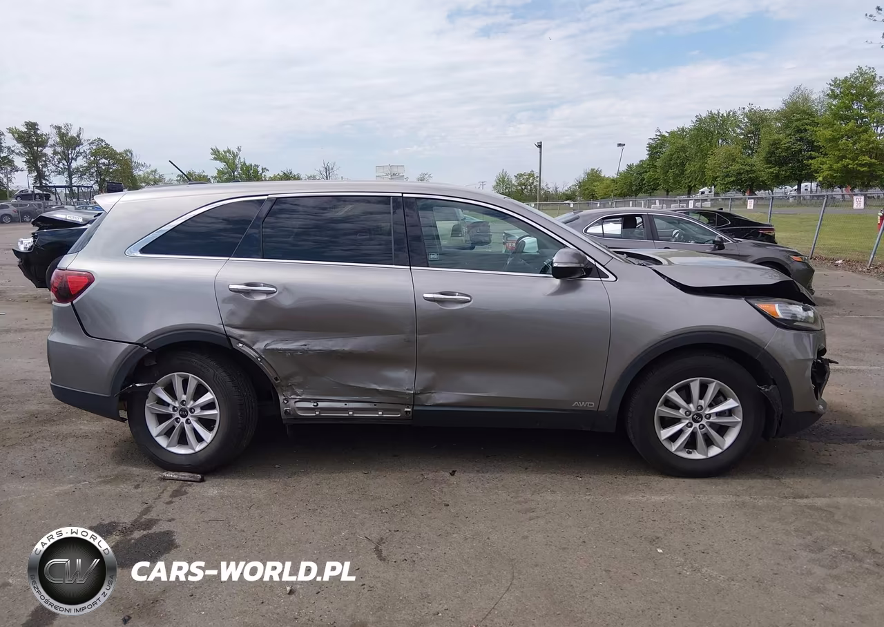 2019 Kia Sorento 3.3L Lx VIN:5XYPGDA57KG479655 - 13