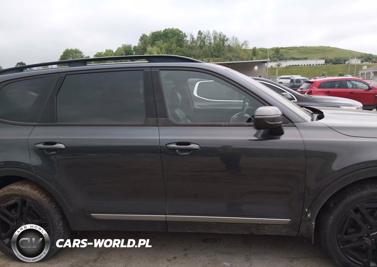 2023 Kia Telluride Ex X-Line VIN:5XYP3DGC8PG380593 - 13