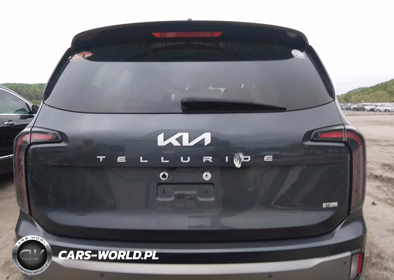 2023 Kia Telluride Ex X-Line VIN:5XYP3DGC8PG380593 - 16