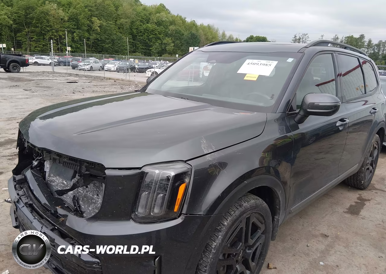 2023 Kia Telluride Ex X-Line VIN:5XYP3DGC8PG380593 - 2