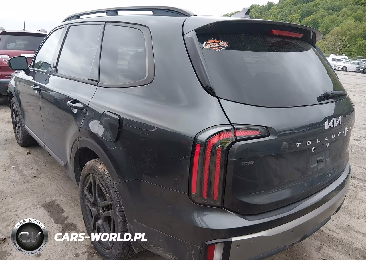 2023 Kia Telluride Ex X-Line VIN:5XYP3DGC8PG380593 - 3