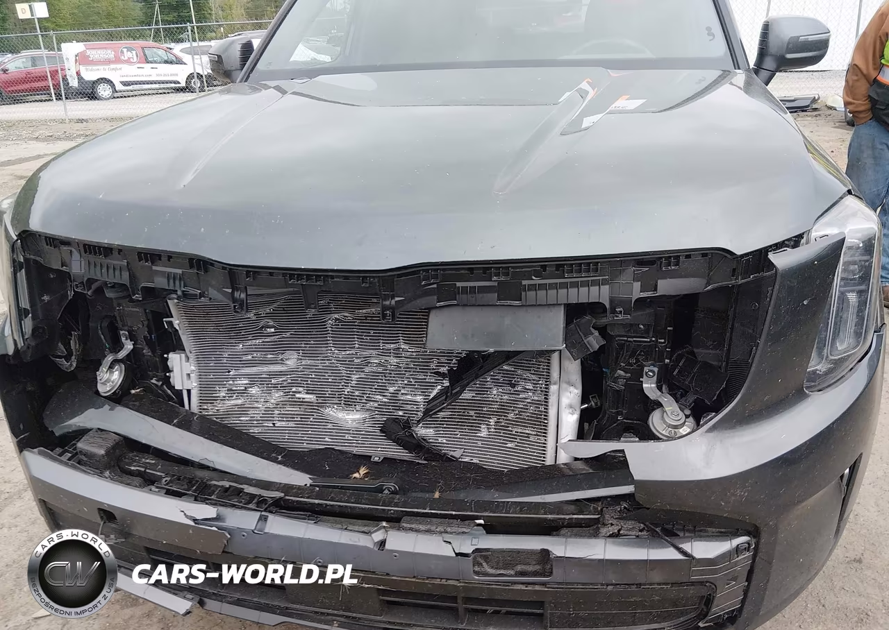 2023 Kia Telluride Ex X-Line VIN:5XYP3DGC8PG380593 - 6