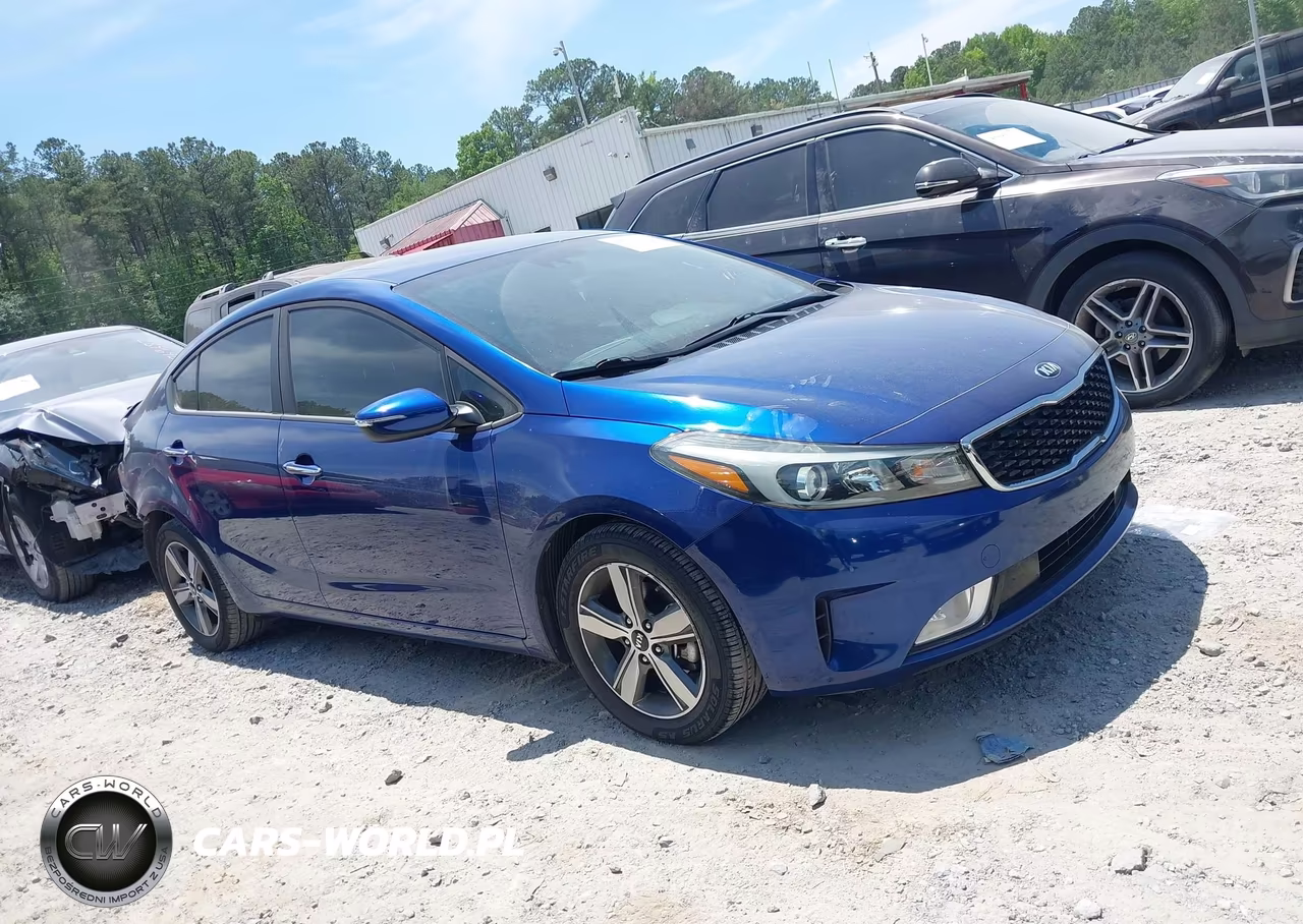 2018 Kia Forte S VIN:3KPFL4A72JE199100 - 13