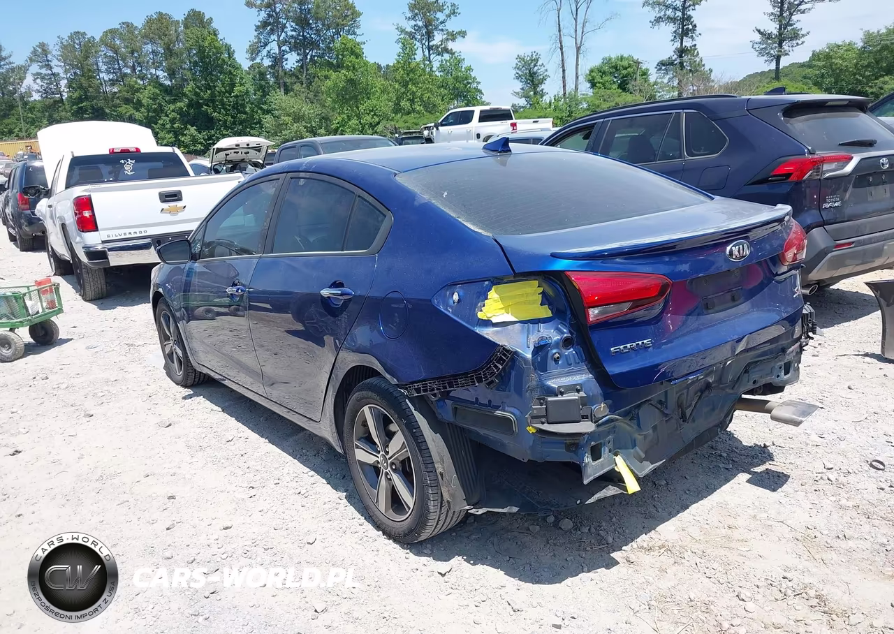 2018 Kia Forte S VIN:3KPFL4A72JE199100 - 3