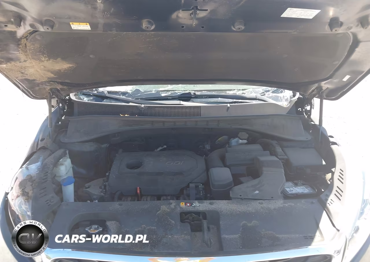 2020 Kia Sorento 2.4L Lx VIN:5XYPG4A32LG667659 - 10