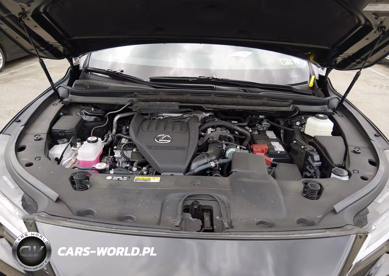 2025 Lexus Rx 350 Premium Plus VIN:2T2BAMCA4SC106814 - 10
