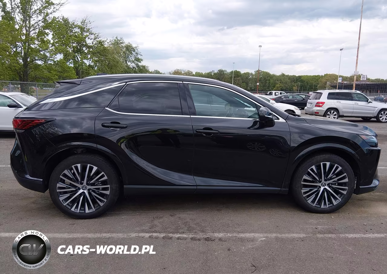 2025 Lexus Rx 350 Premium Plus VIN:2T2BAMCA4SC106814 - 13