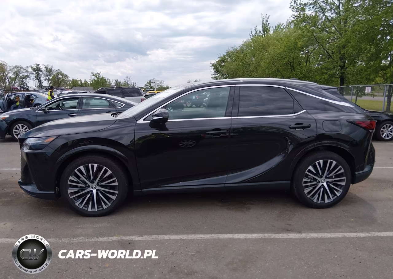 2025 Lexus Rx 350 Premium Plus VIN:2T2BAMCA4SC106814 - 14