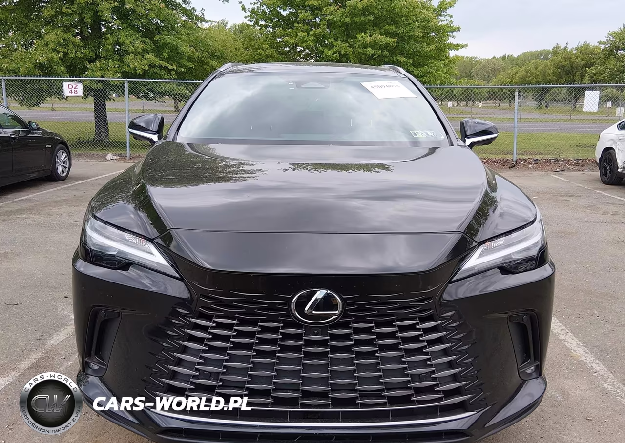 2025 Lexus Rx 350 Premium Plus VIN:2T2BAMCA4SC106814 - 17