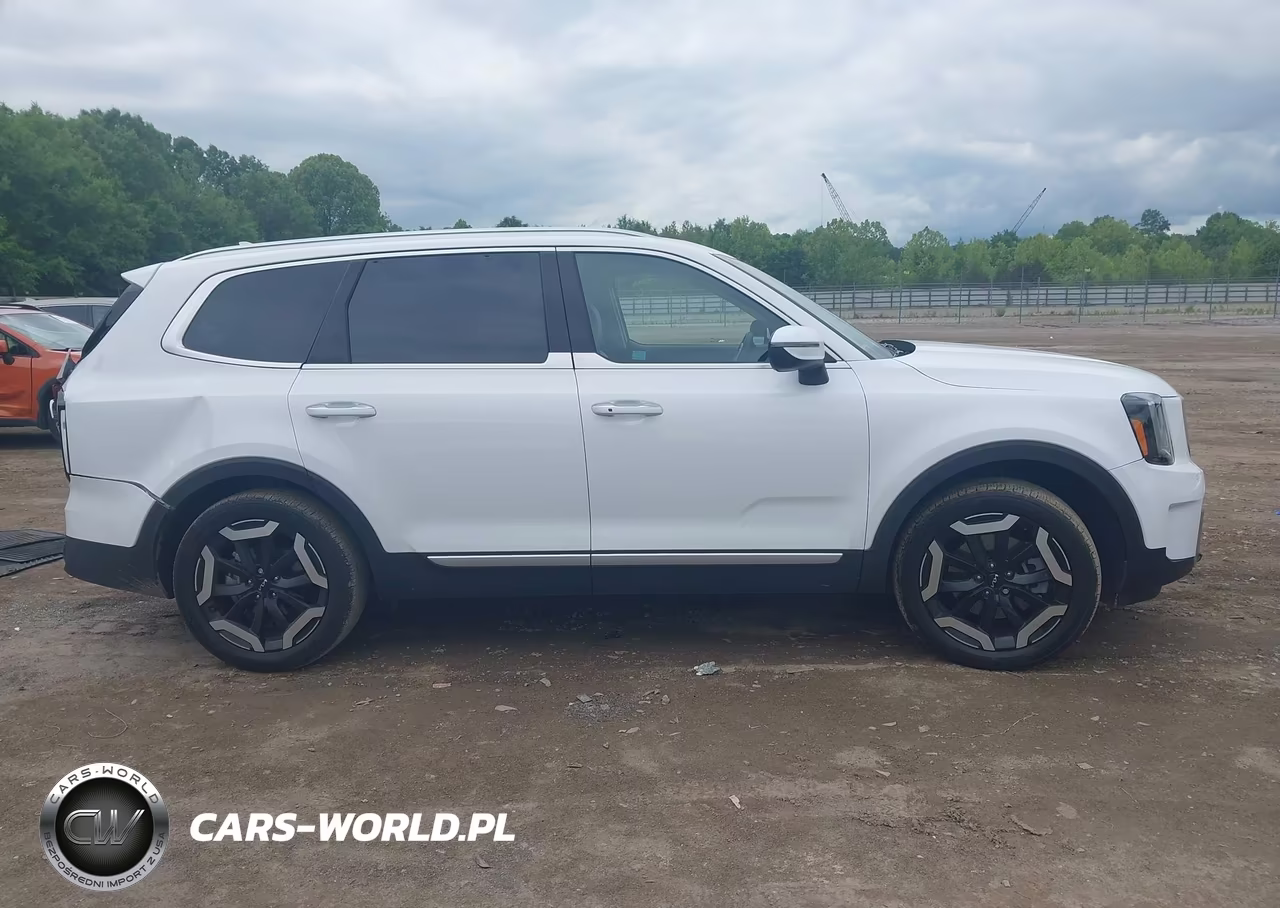 2024 Kia Telluride S VIN:5XYP64GC3RG507339 - 13