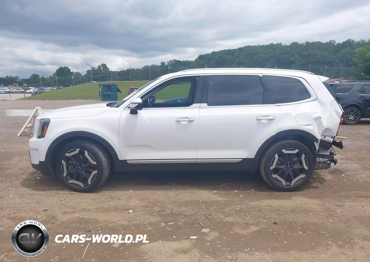 2024 Kia Telluride S VIN:5XYP64GC3RG507339 - 14