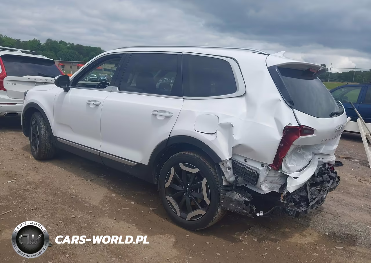 2024 Kia Telluride S VIN:5XYP64GC3RG507339 - 3
