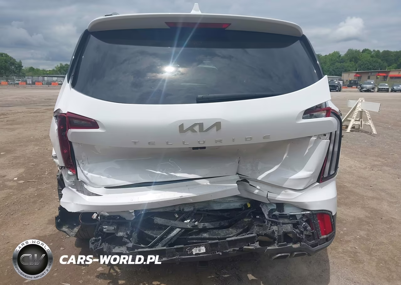 2024 Kia Telluride S VIN:5XYP64GC3RG507339 - 6