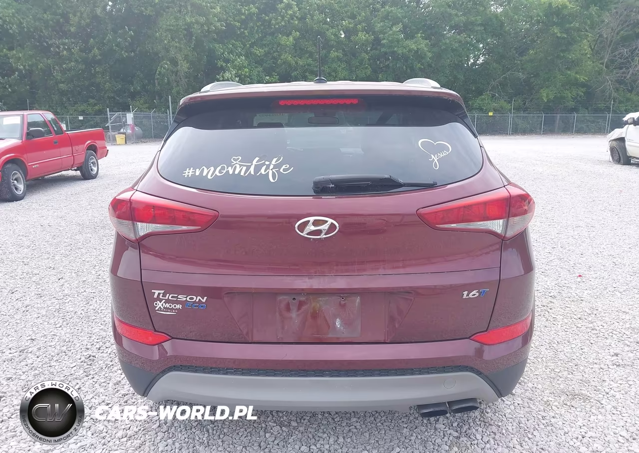 2017 Hyundai Tucson Eco VIN:KM8J33A26HU372181 - 16