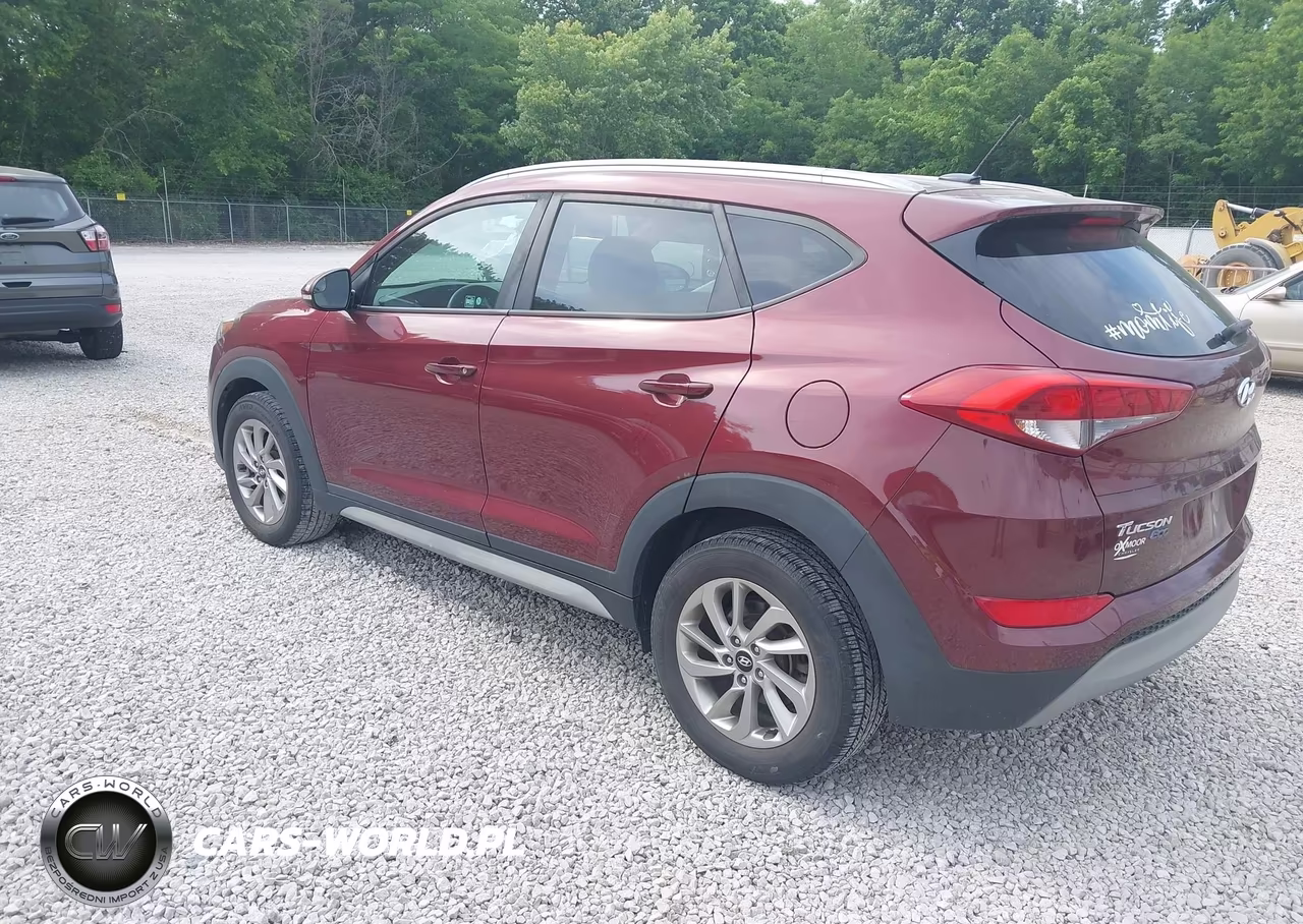 2017 Hyundai Tucson Eco VIN:KM8J33A26HU372181 - 3