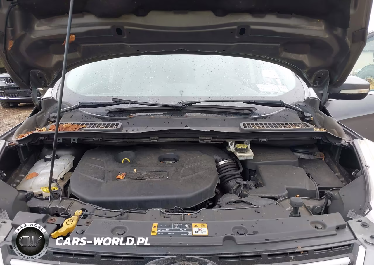 2013 Ford Escape Sel VIN:1FMCU9H96DUC01114 - 10