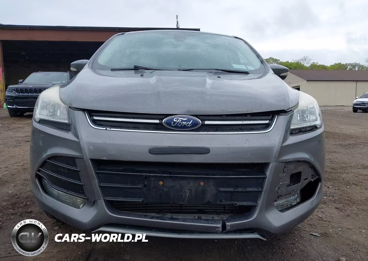 2013 Ford Escape Sel VIN:1FMCU9H96DUC01114 - 12