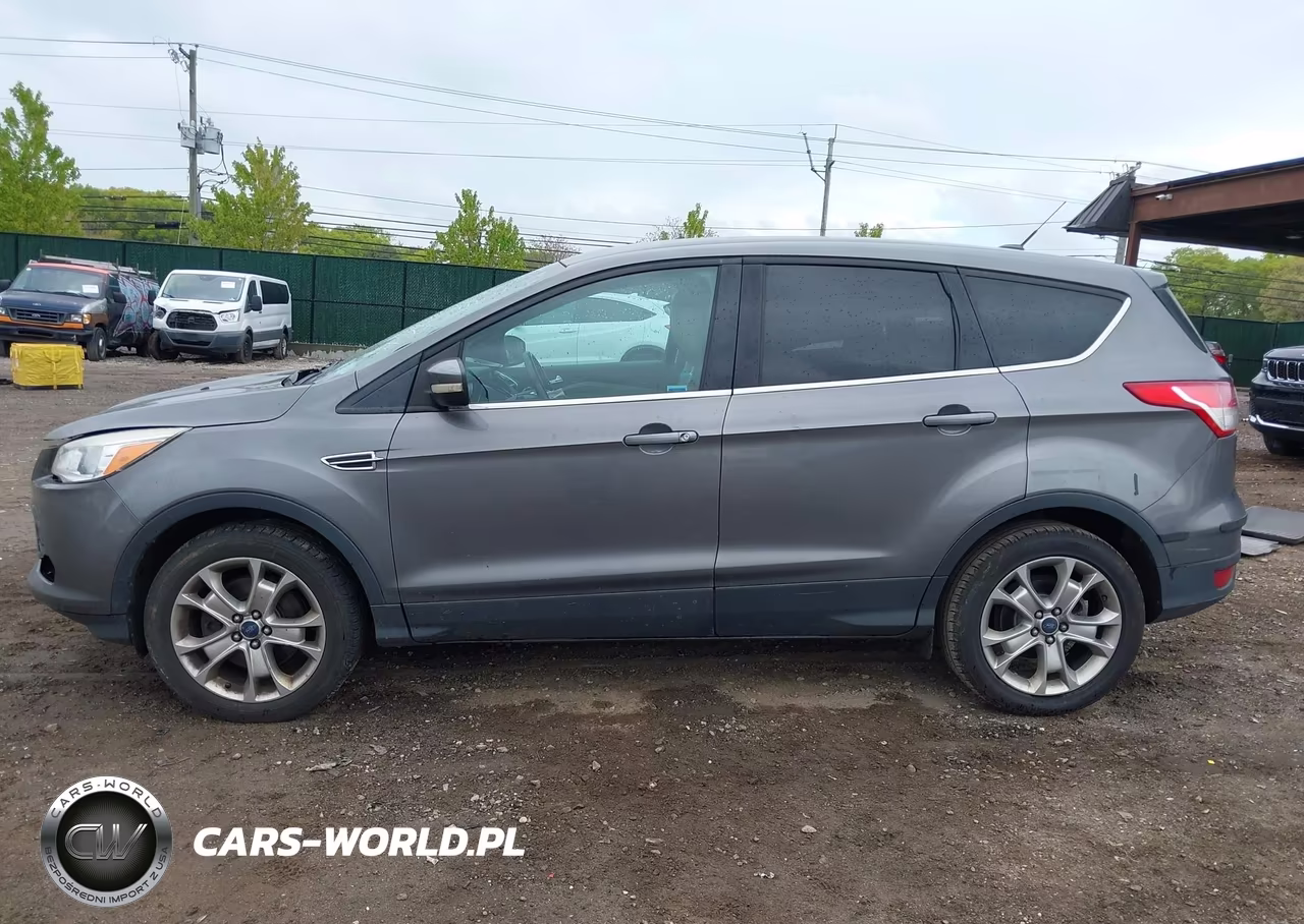 2013 Ford Escape Sel VIN:1FMCU9H96DUC01114 - 14