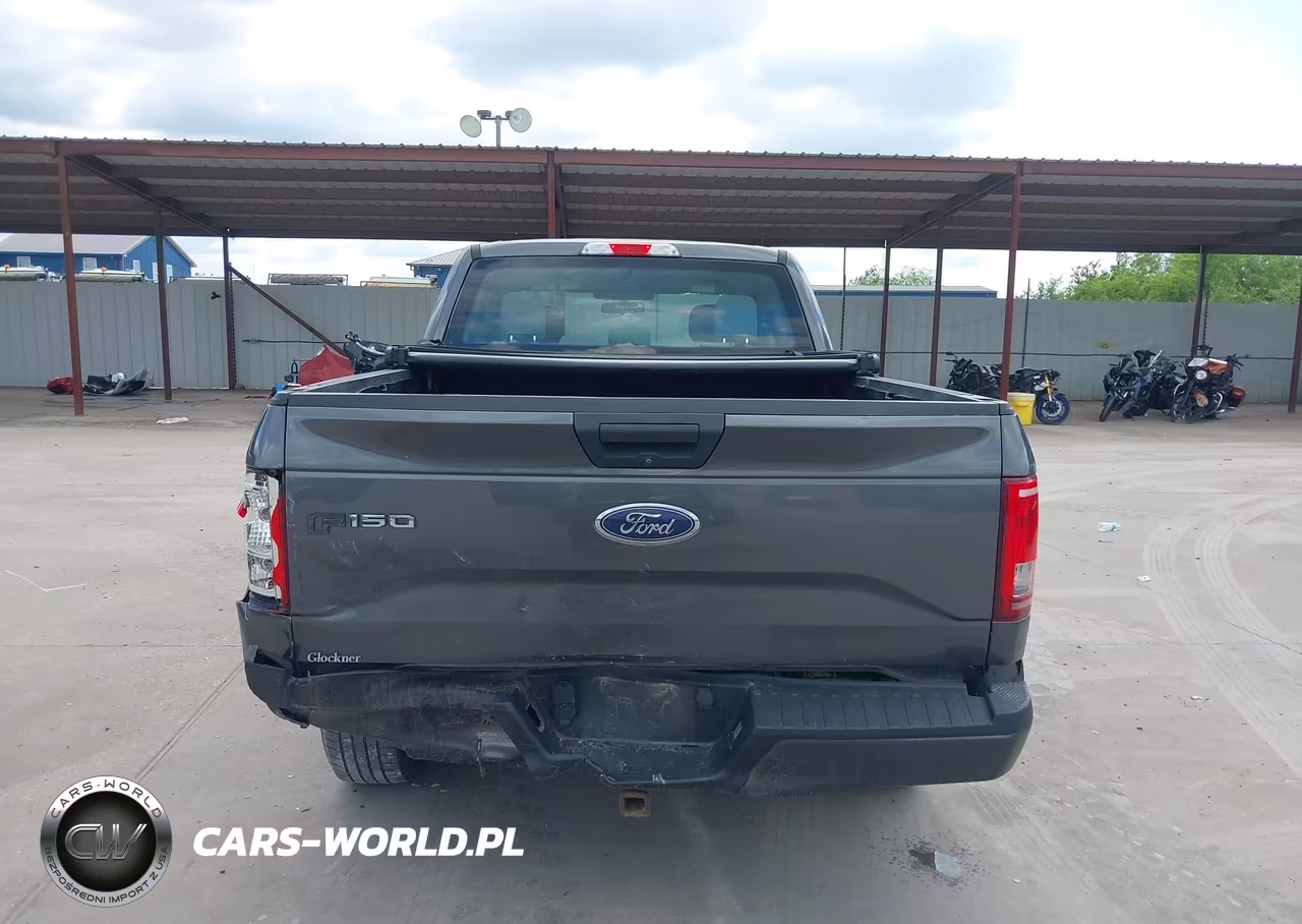 2017 Ford F-150 Xl VIN:1FTEX1EP0HFC19353 - 6