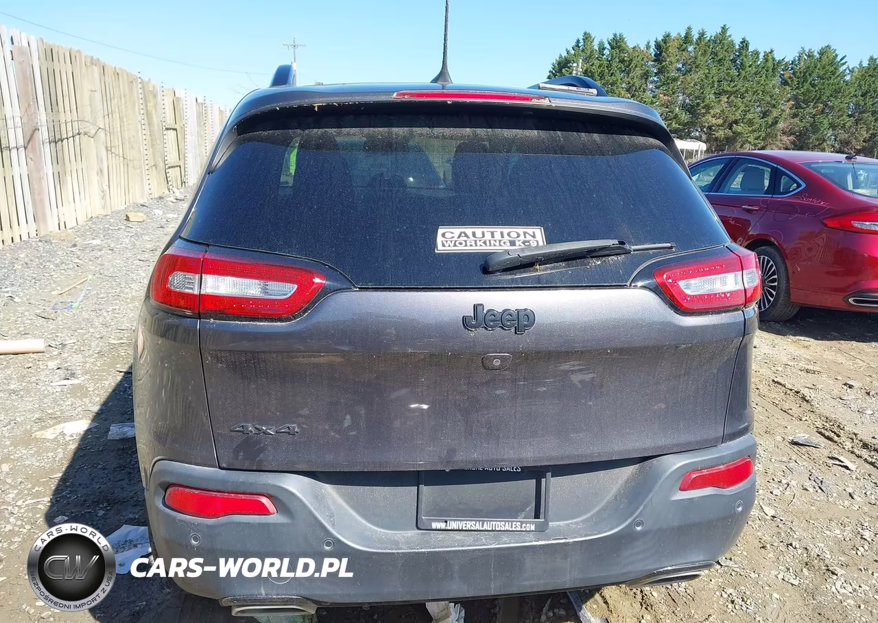 2018 Jeep Cherokee Limited 4X4 VIN:1C4PJMDX2JD603391 - 17