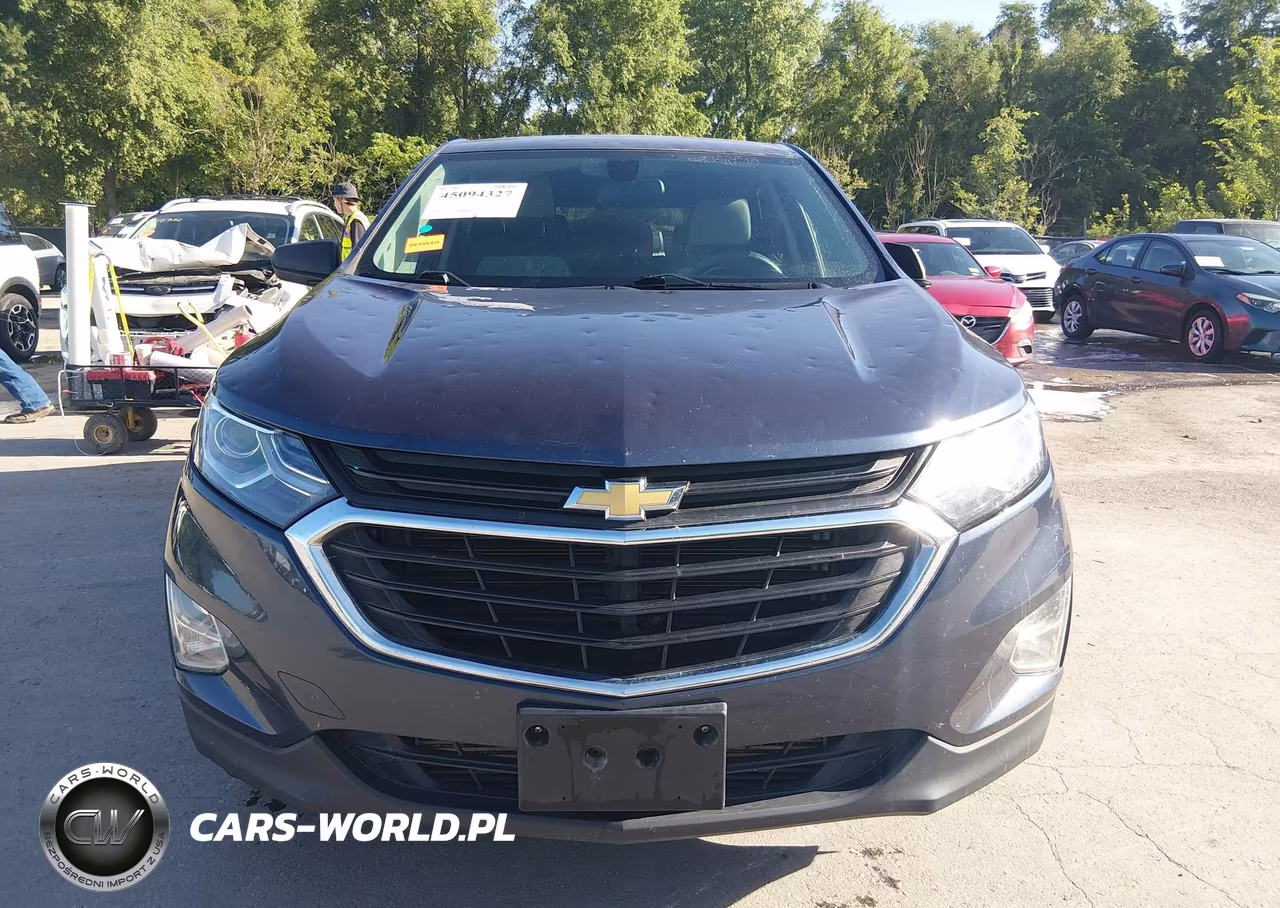 2019 Chevrolet Equinox Ls VIN:3GNAXSEV0KL207632 - 12