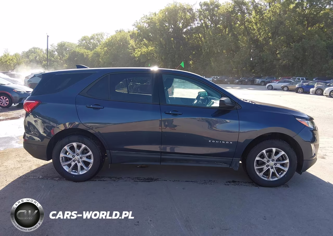 2019 Chevrolet Equinox Ls VIN:3GNAXSEV0KL207632 - 13