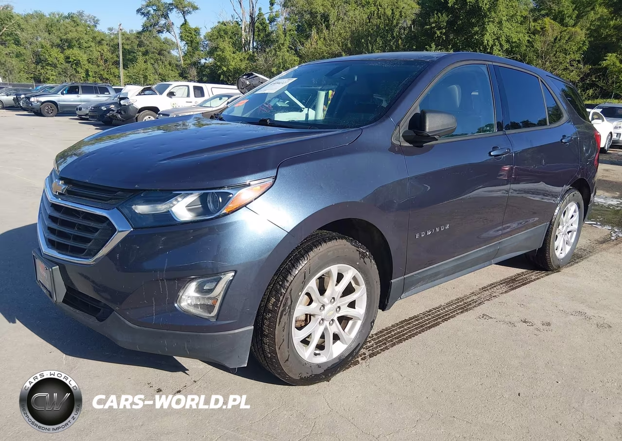 2019 Chevrolet Equinox Ls VIN:3GNAXSEV0KL207632 - 2