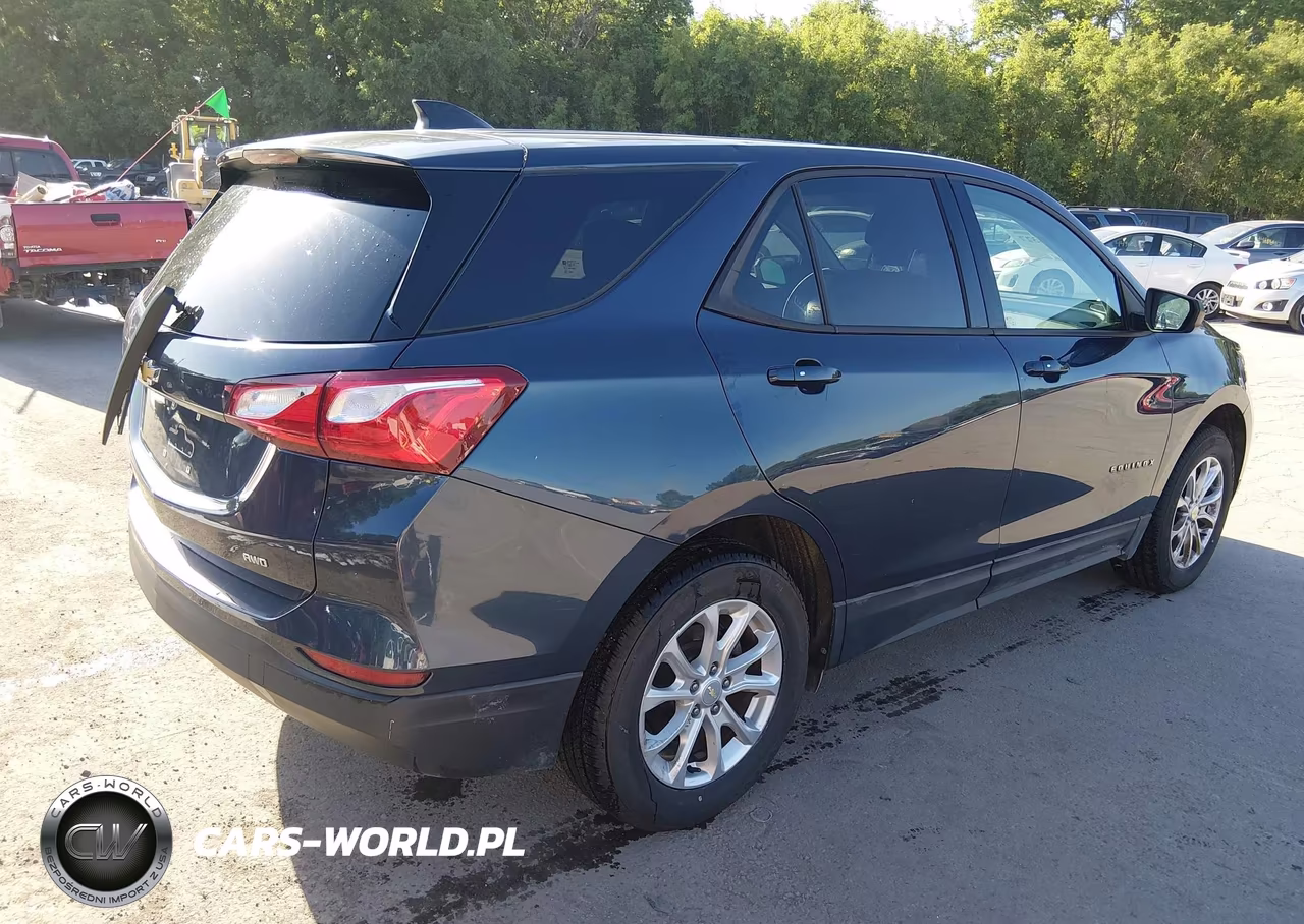 2019 Chevrolet Equinox Ls VIN:3GNAXSEV0KL207632 - 4
