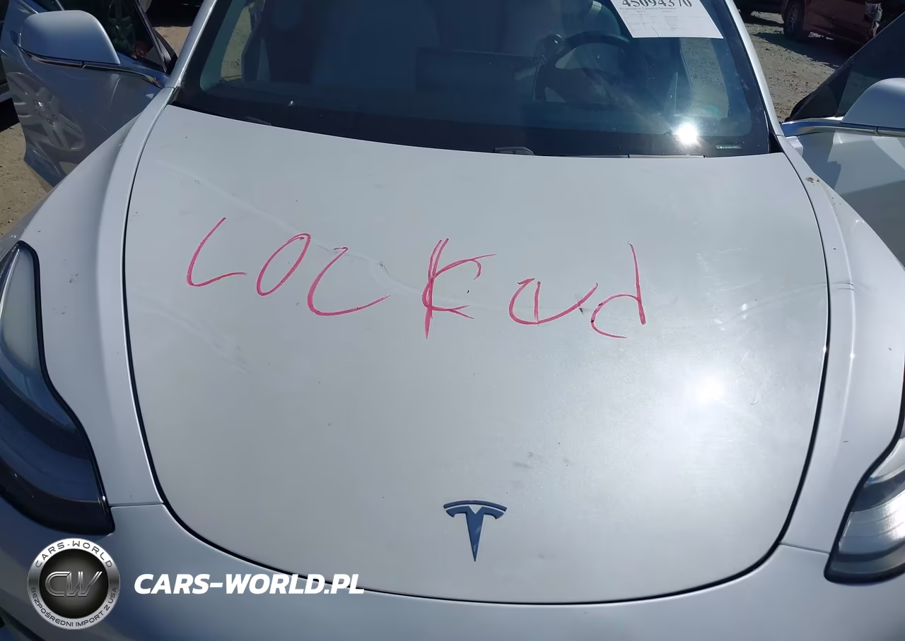 2020 Tesla Model 3 Standard Range Plus Rear-Wheel Drive-Standard Range Rear-Wheel Drive VIN:5YJ3E1EA9LF591277 - 10