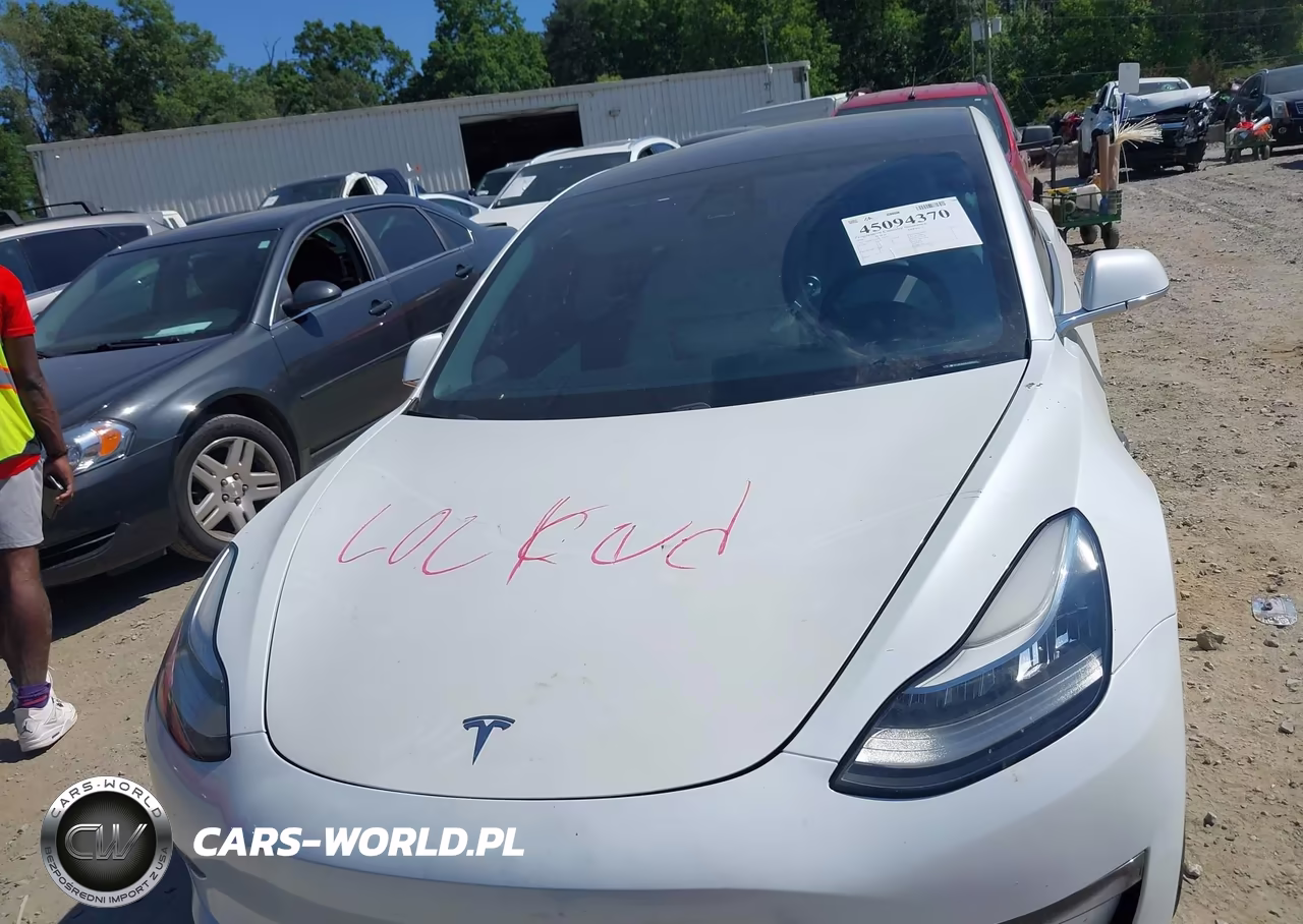 2020 Tesla Model 3 Standard Range Plus Rear-Wheel Drive-Standard Range Rear-Wheel Drive VIN:5YJ3E1EA9LF591277 - 12