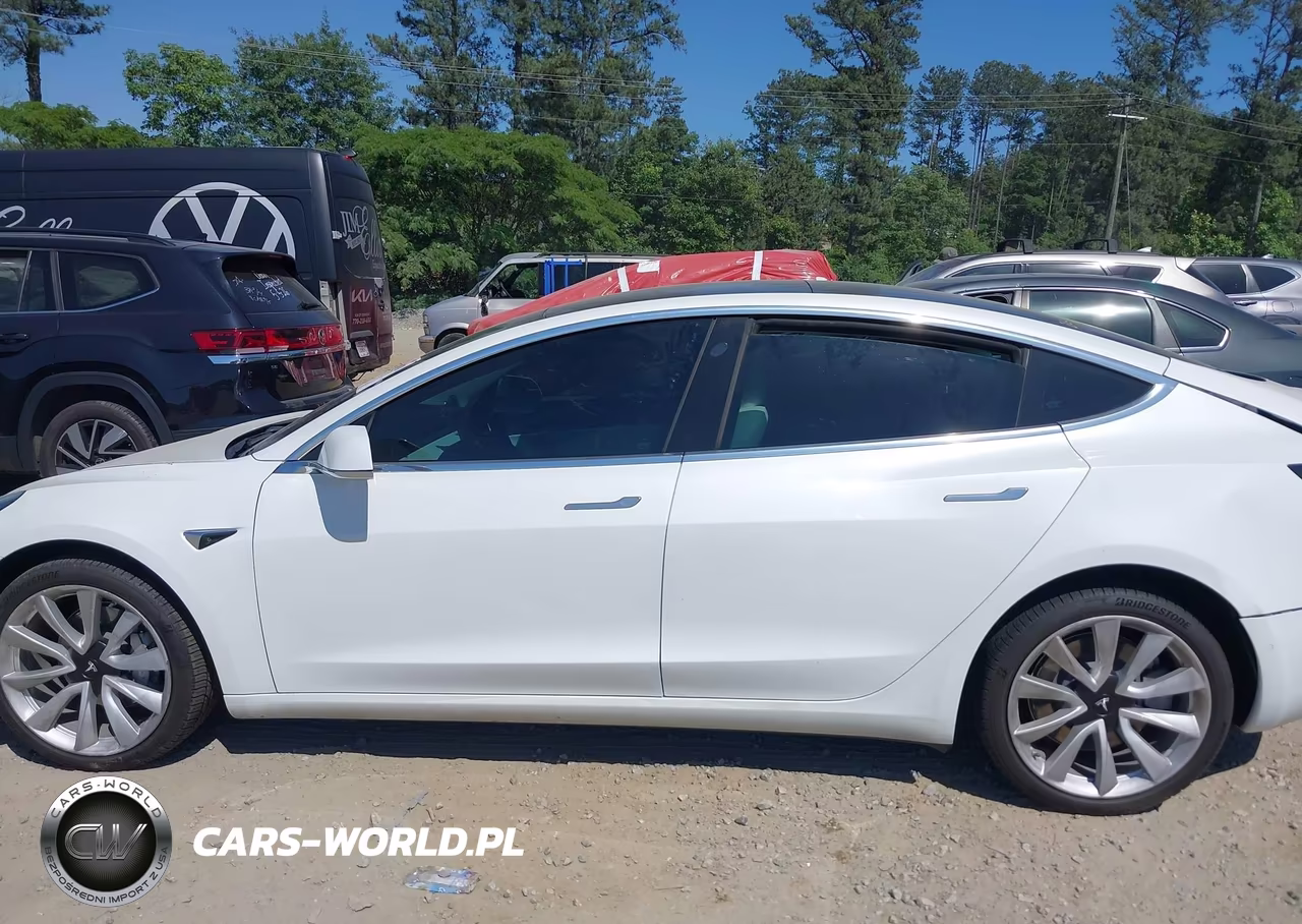 2020 Tesla Model 3 Standard Range Plus Rear-Wheel Drive-Standard Range Rear-Wheel Drive VIN:5YJ3E1EA9LF591277 - 14