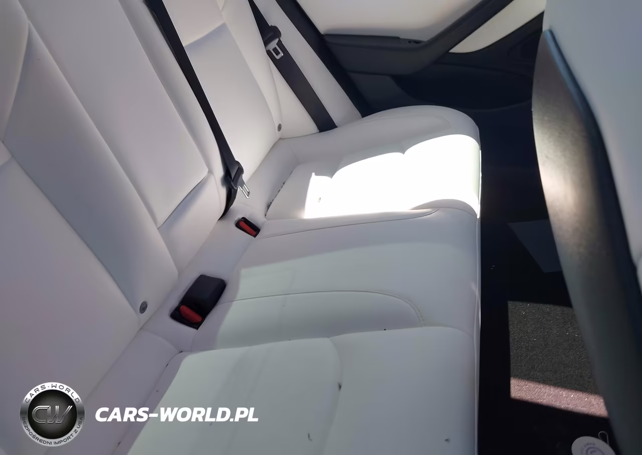 2020 Tesla Model 3 Standard Range Plus Rear-Wheel Drive-Standard Range Rear-Wheel Drive VIN:5YJ3E1EA9LF591277 - 8