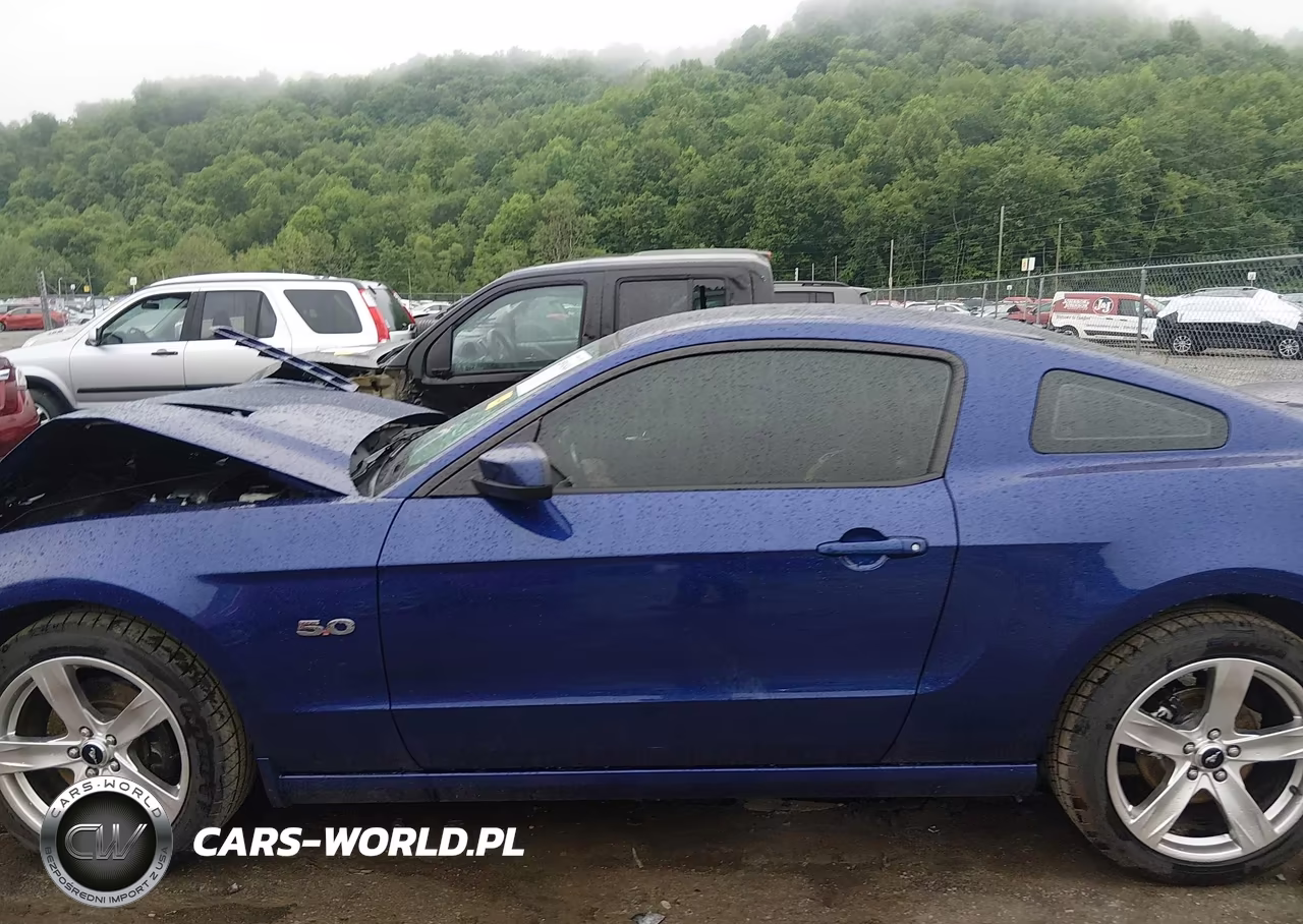 2014 Ford Mustang Gt Premium VIN:1ZVBP8CF5E5306363 - 14
