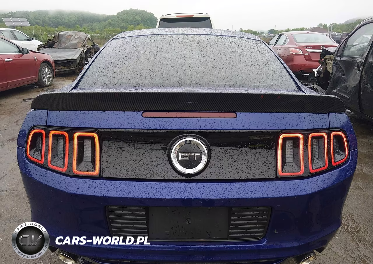 2014 Ford Mustang Gt Premium VIN:1ZVBP8CF5E5306363 - 16