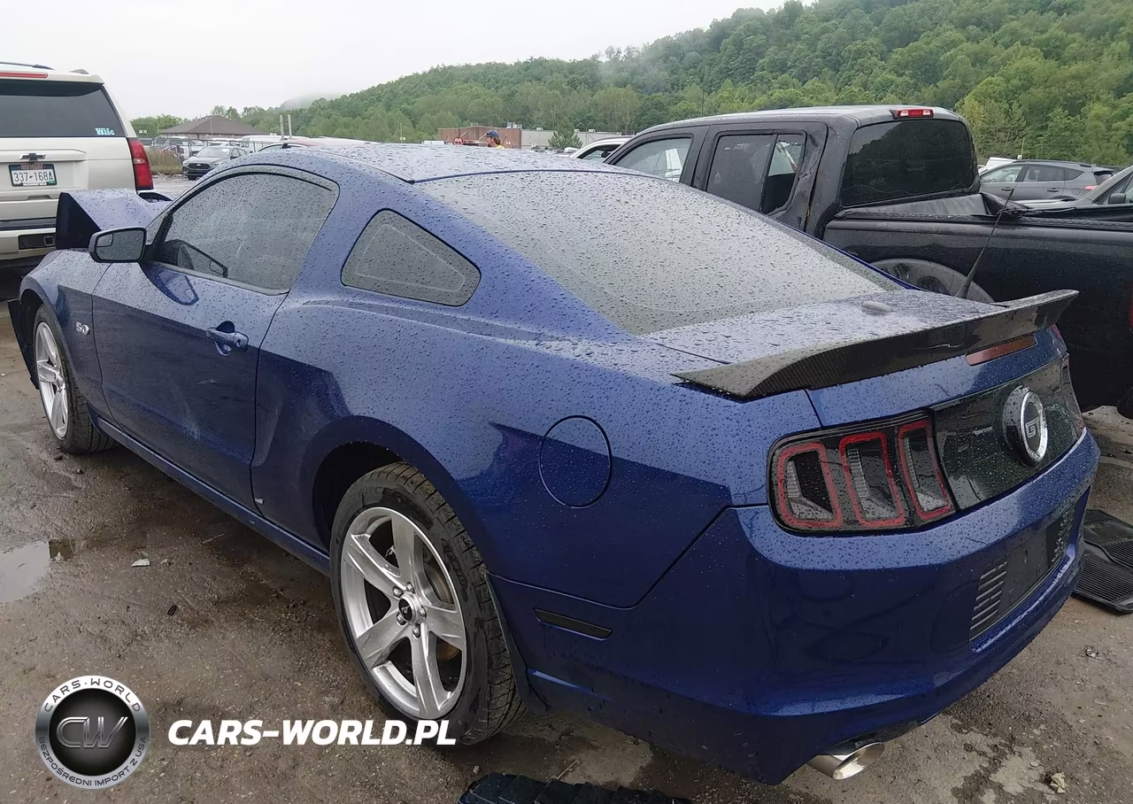 2014 Ford Mustang Gt Premium VIN:1ZVBP8CF5E5306363 - 3