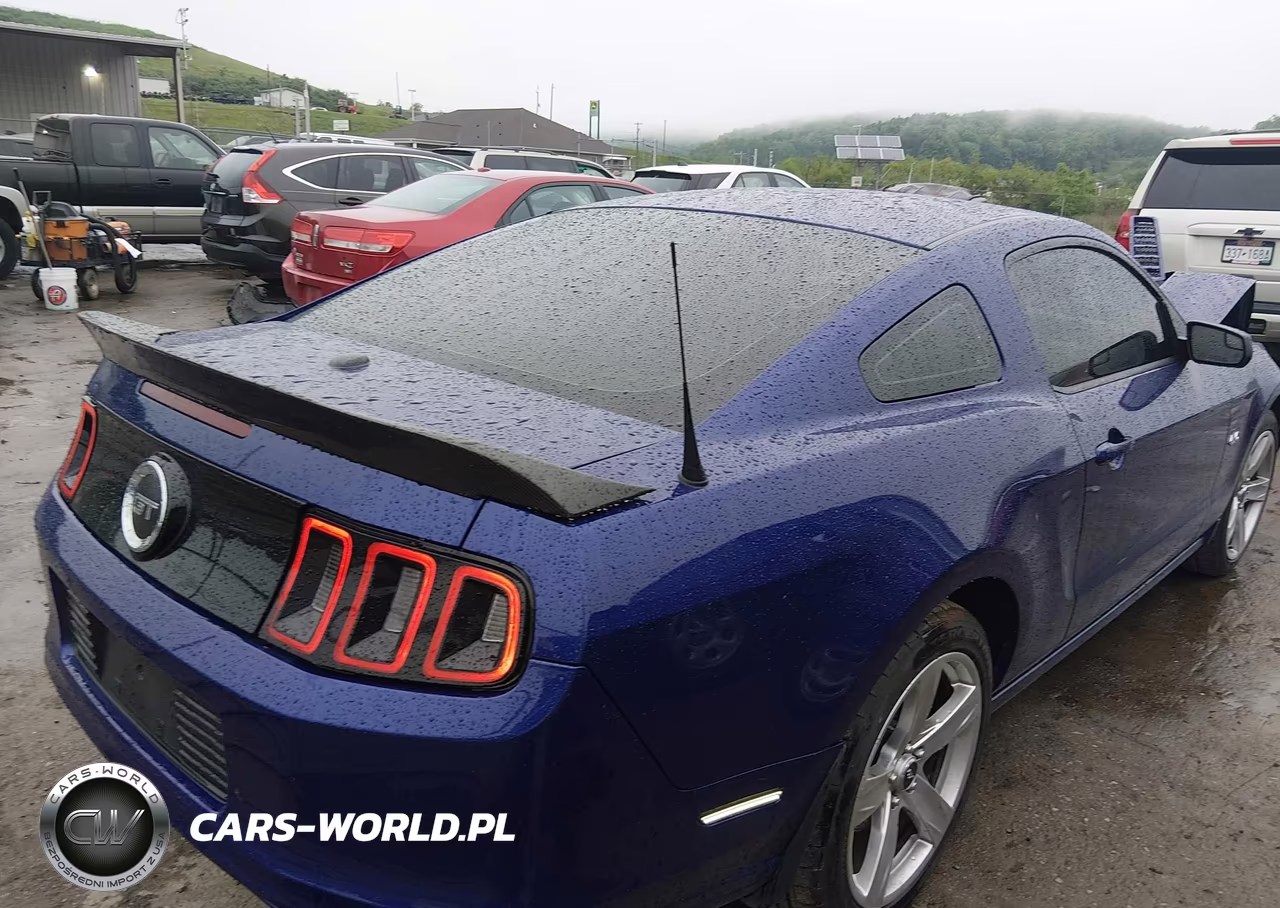 2014 Ford Mustang Gt Premium VIN:1ZVBP8CF5E5306363 - 4