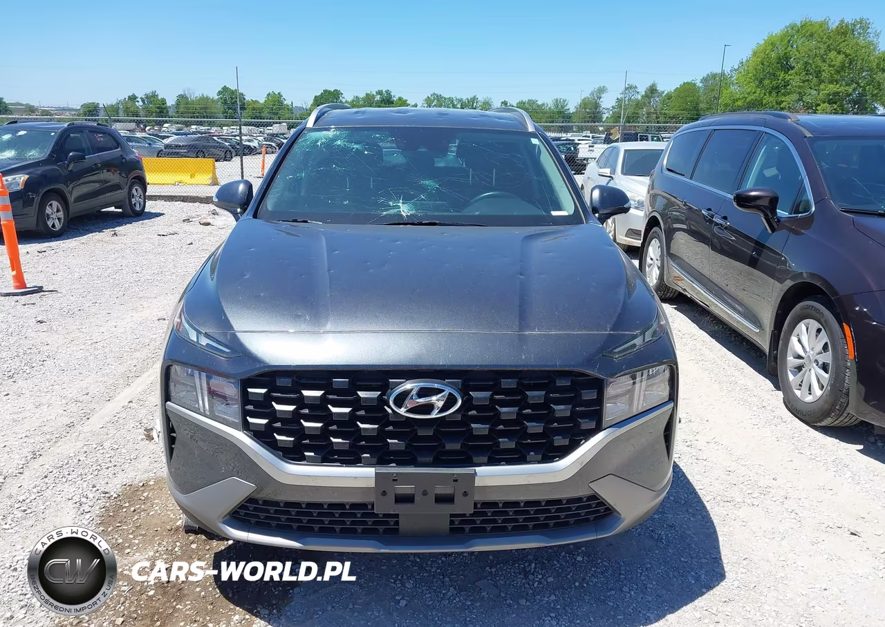 2023 Hyundai Santa Fe Sel VIN:5NMS2DAJ7PH598969 - 12
