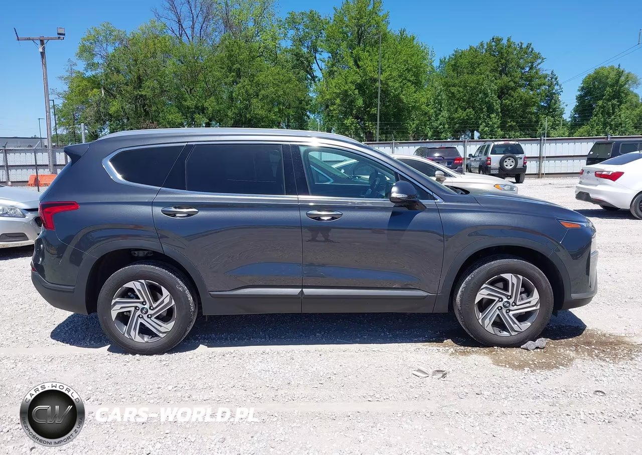 2023 Hyundai Santa Fe Sel VIN:5NMS2DAJ7PH598969 - 13