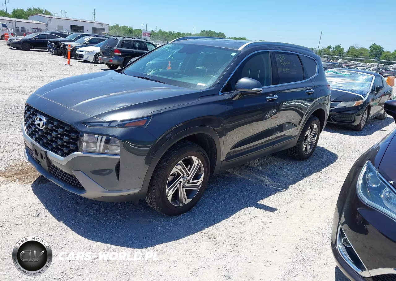 2023 Hyundai Santa Fe Sel VIN:5NMS2DAJ7PH598969 - 2