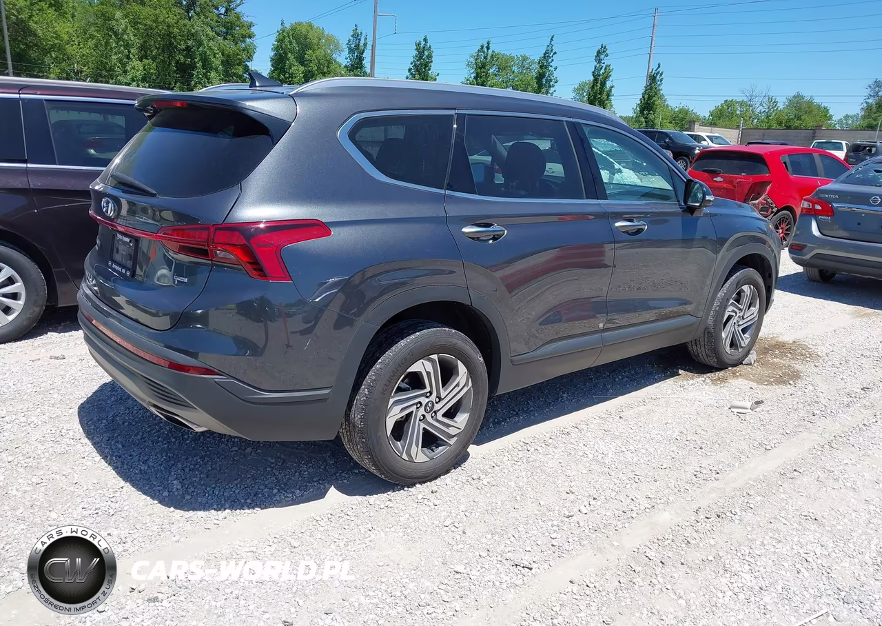 2023 Hyundai Santa Fe Sel VIN:5NMS2DAJ7PH598969 - 4