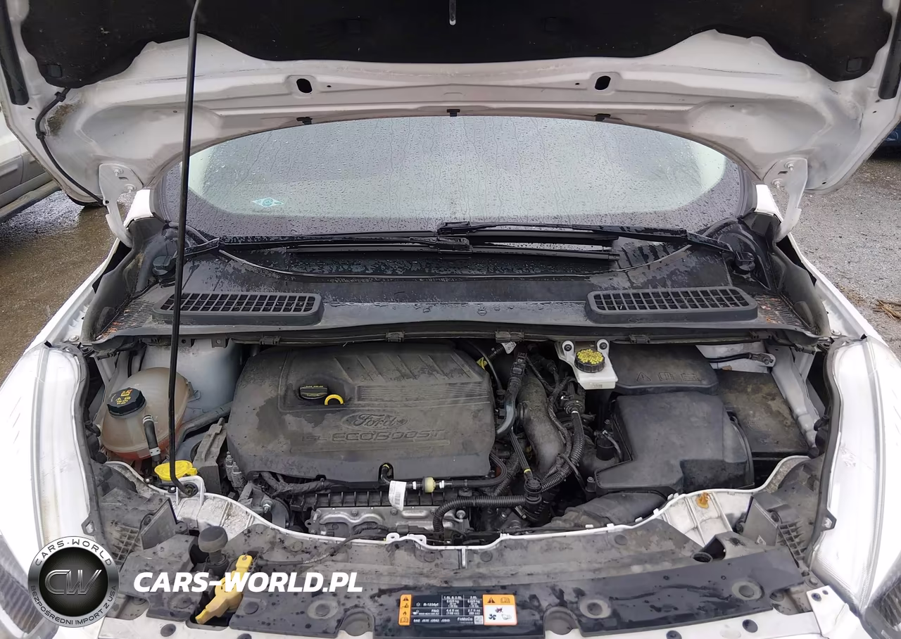 2018 Ford Escape Sel VIN:1FMCU9HD6JUC10122 - 10